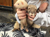 Ferret kits