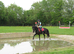 Stunning mare available end Aug