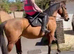 Exciting future / All rounder