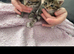 5 kittens