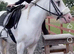 Chunky cob - allrounder