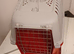 Small pet carrier