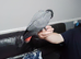 Beautiful Baby African Grey, ready now..