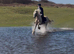 14.3/15H, 4Yo, Palomino, Ride & Drive, Irish Cob, Gelding