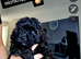 Pomapoo x Toy Poodle 1 girl left