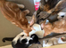3 male kittens