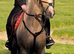 *** BOOKED FOR BRECON SALE***