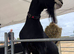 BGS registered British alpine billy goat stud loan