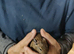 Degus