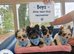 2 Beautiful Yorkshire Terrier Boys – Ready Now
