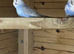 Baby budgies