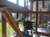 Cosy Towers Cat Hotel