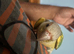 Beautiful coloured males conures