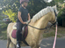 Ultimate Barbie pony