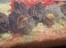 5 x coturnix quail left