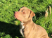 Male staff 3 years old