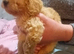 Beautiful cockapoo male
