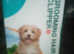 Dog grooming clippers set good quality