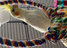 Baby Lutino cockatiel 9 weeks old