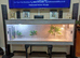 Vivarium 4 foot light grey with electrics