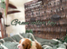 Stunning HEALTH TESTED cavalier pups