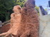 Australian labradoodles