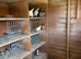 Pigeons birds