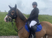 14.2 Welsh section D