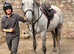 16,2 grey gelding