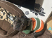 French Bulldog looking for a new home.