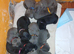 Cane Corso puppies