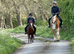 Welsh section A for 3 day loan