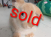5 mix French lops & 1 100% French lop