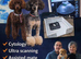 Canine fertility
