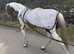 Full Loan &ndash; 15hh PBA Mare