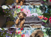 Gorgeous PRA clear Daxipoo puppies hypoallergenic teddy bears