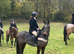 Quantocks Solace - Exceptional PC, SJ & EVENTING PROSPECT