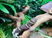 Chinese Cave Gecko (Hainanensis) at Birmingham Reptiles