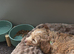 Rehoming sweet cockapoo
