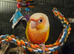Sun cheek conure