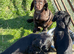 Quality cocker puppies for sale