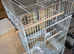 Cockatiel Cage with or without Nest Box