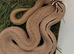 Superconda hognose