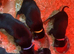 Dobermann pups