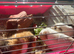 Three Guinea pigs, all girls