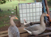 Geese from this year's hatch