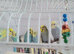 Baby budgies for sale