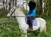 12hh first pony