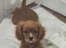 Beautiful little girl ready now