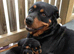 Rottweiler puppy boy